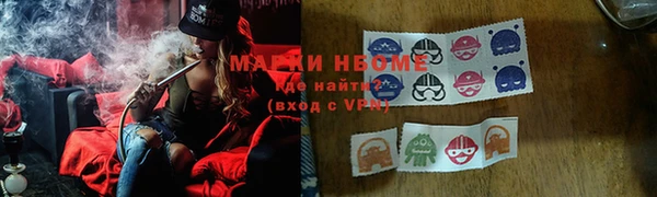 мет Алексин