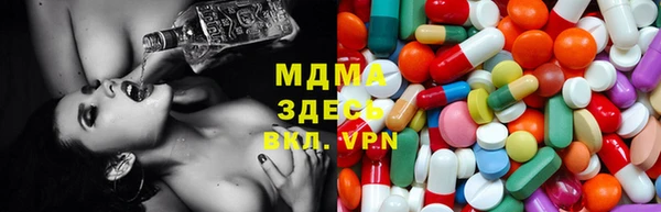 мет Алексин