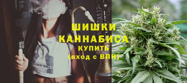 шишки Алзамай