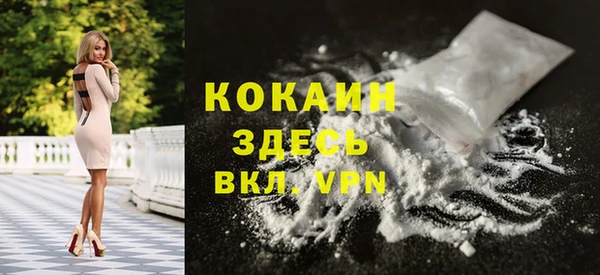 мет Алексин