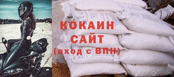 шишки Алзамай