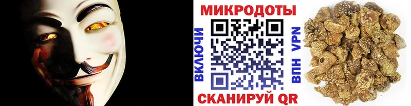 Псилоцибиновые грибы MAGIC MUSHROOMS Динская