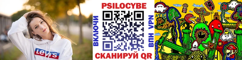 нарко площадка телеграм  Динская  Псилоцибиновые грибы Cubensis 
