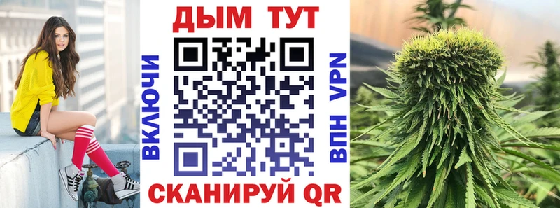 где купить Динская Бошки Шишки Ganja